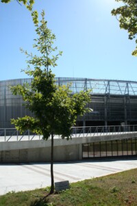 Dariaus ir Girėno stadionas ir jo prieigose augantis ąžuolas, skirtas lakūnui, sporto organizatoriui atminti. 2023 m.
