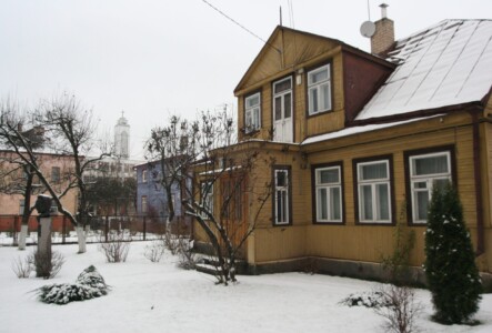 Biustas prie namo (Aušros g. 13). 2005 m.