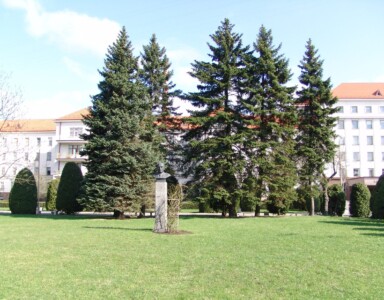 Paminklinis biustas Vladui Lašui (Eivenių g. 2). 2005 m.