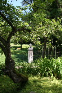 Paminklinis biustas dailininko A. Žmuidzinavičiaus memorialiniame sode (V. Putvinskio g. 64, vidinis kiemas). 2024 m.